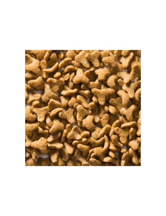 Greenheart chat Agneau et Riz