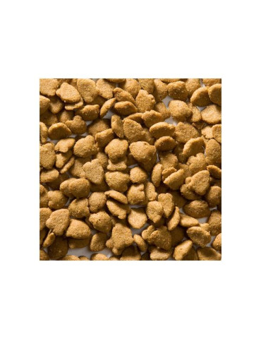 Croquettes riche en poisson pour chat adulte  - Greenheart chat Poisson et Riz 2