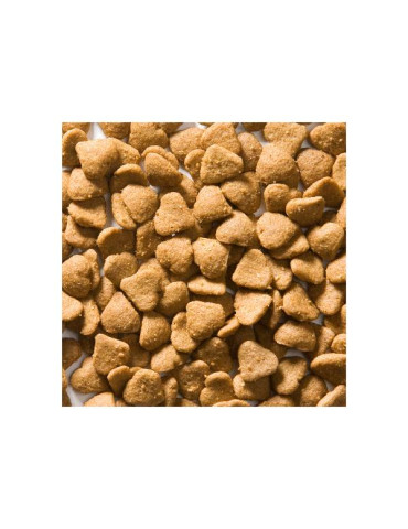 Croquettes sans gluten de blé riche en poulet pour chat adulte - Greenheart chat Poulet et Riz 2