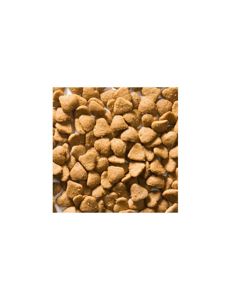 Greenheart chat Poulet et Riz