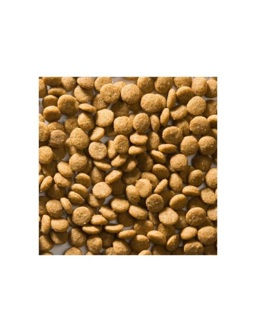 Croquettes hypoallergéniques pour chat âgé toutes races - Poulet, agneau et poisson - Greenheart chat Senior 2