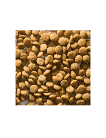 Croquettes au poisson sans gluten hypoallergéniques pour chat stérilisé, castré ou en surpoids- Greenheart chat 3D-Diet 2