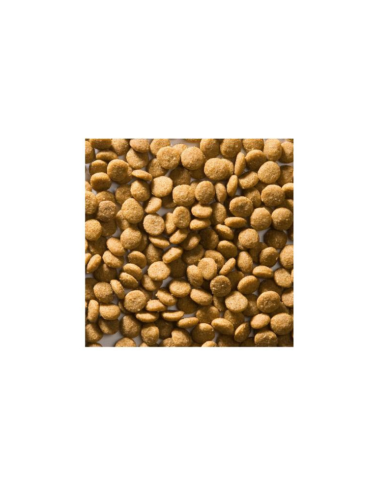 Greenheart chat 3D-Diet