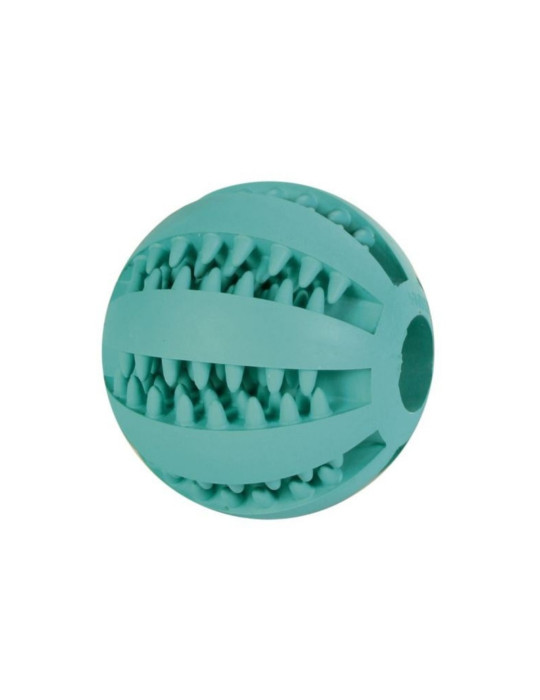 Chien Balle dentaire