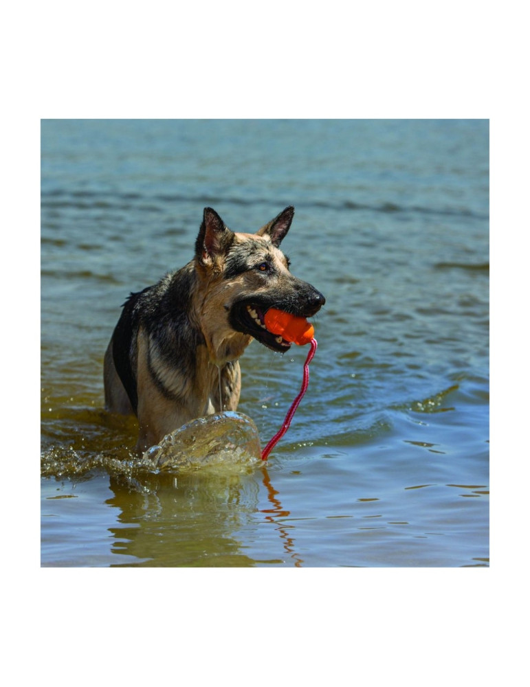KONG Chien Aqua avec corde