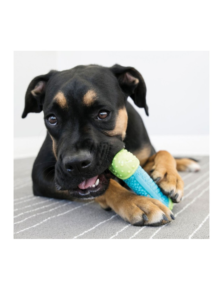 Kong Chien Corestrength Bone