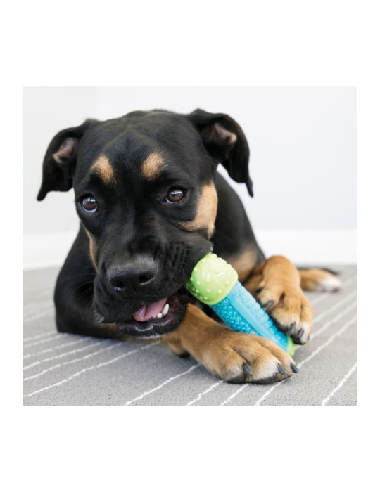 Kong Chien Corestrength Bone