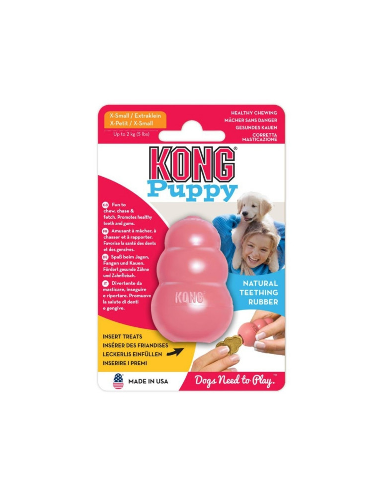 KONG Chien Puppy