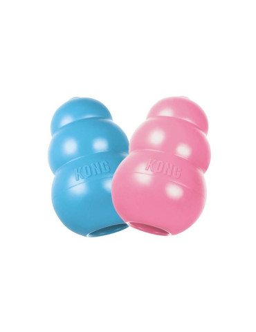KONG Chien Puppy 2