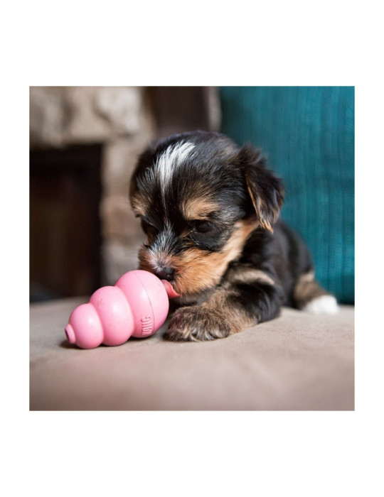 KONG Chien Puppy