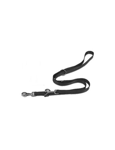 Laisse pour Chien 2