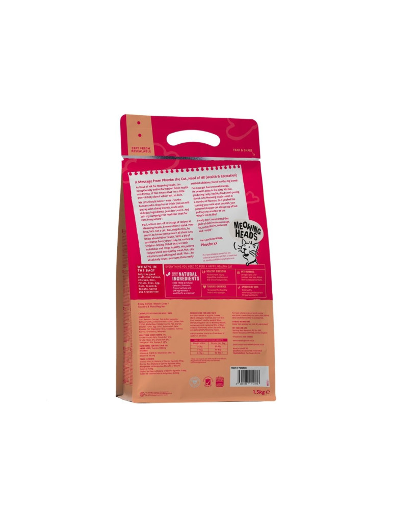 Meowing Heads Chat Saumon