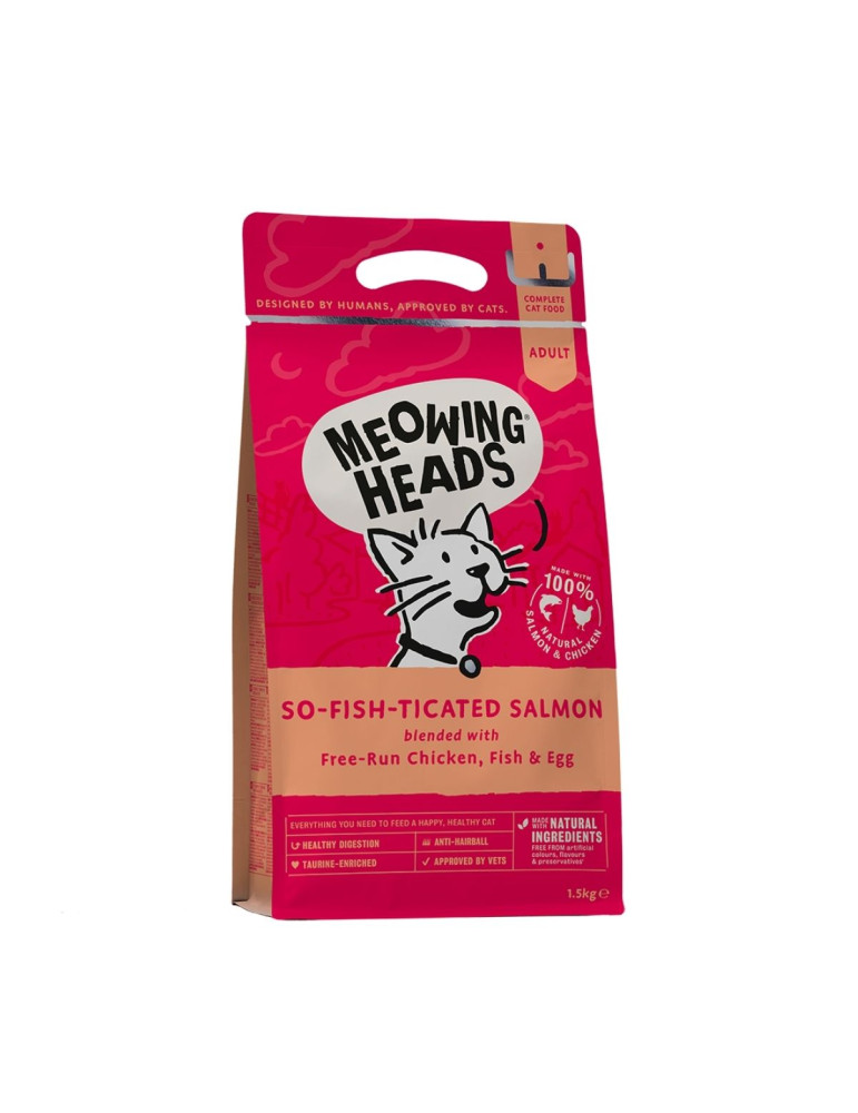 Meowing Heads Chat Saumon