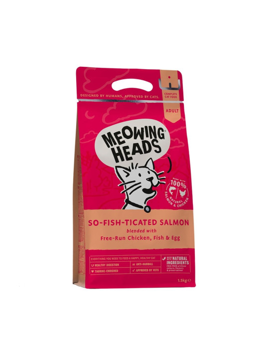 Meowing Heads Chat Saumon