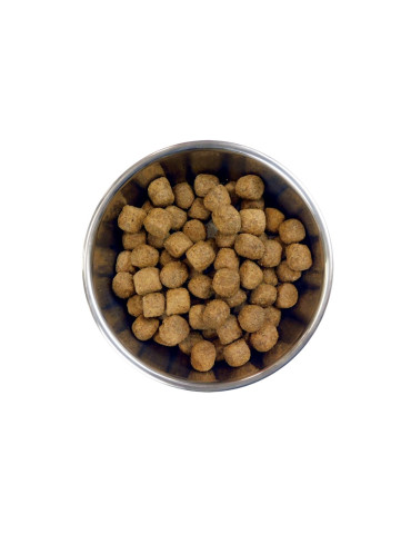 Barking Heads Moyen Chien Agneau 2