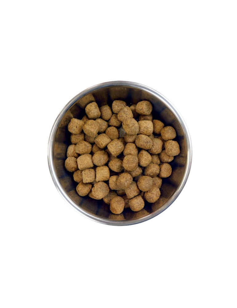 Barking Heads Moyen Chien Agneau