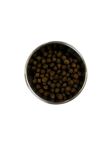 Barking Heads Chien Toute Race Saumon 2
