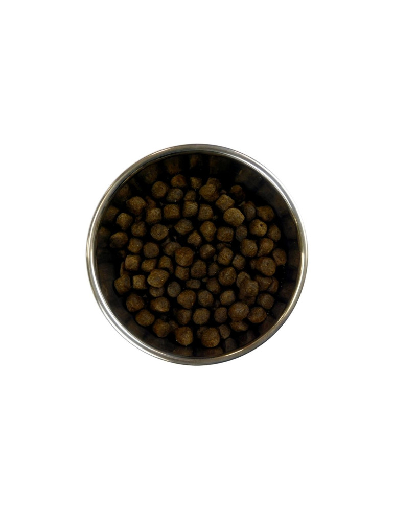 Barking Heads Chien Toute Race Saumon