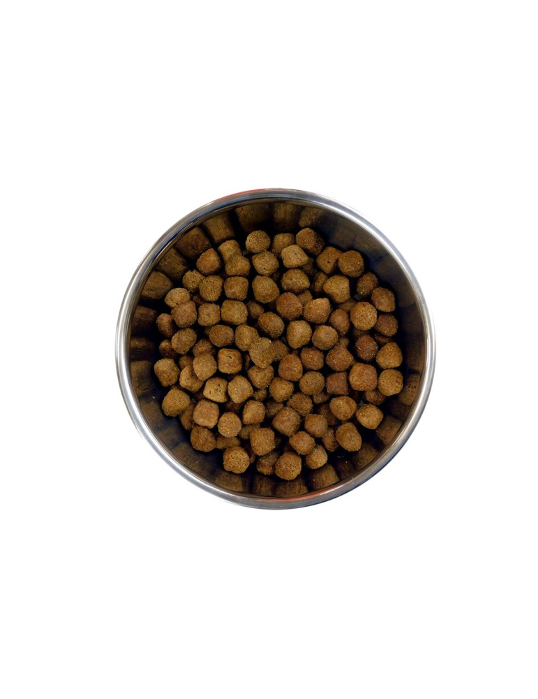 Barking Heads Moyen Chien Poulet