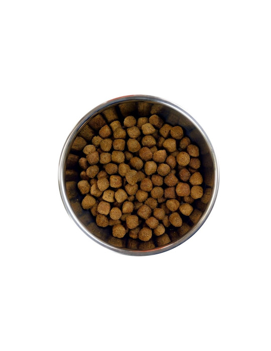 Barking Heads Moyen Chien Poulet