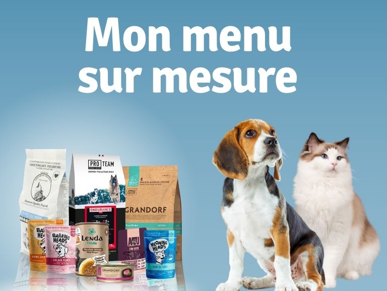 menu sur mesure - Super Croquettes