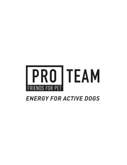 Pro Team