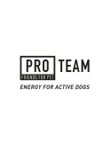 Pro Team