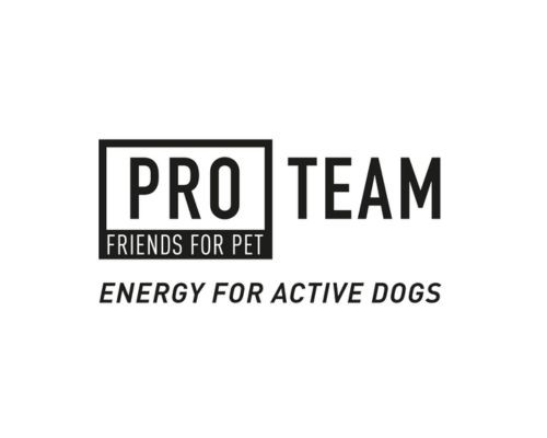 Pro Team