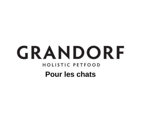Grandorf chat