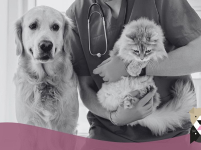 L'arthrose chez les chiens et les chats : comprendre et soulager