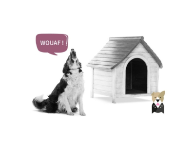 4 raisons pour lesquelles votre chien aboie la nuit