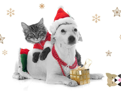 5 conseils pour un Noël au poil avec chats et chiens