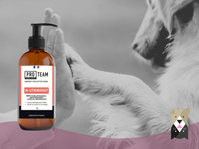 N‑UTRIBOOST : booster l’immunité et la digestion de votre chien