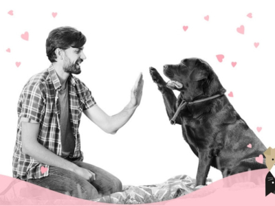 Quel chien choisir selon mon mode de vie ?