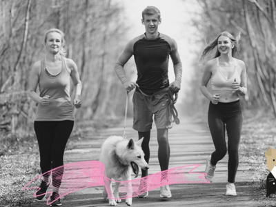 Quelles sont les races de chiens sportifs ?