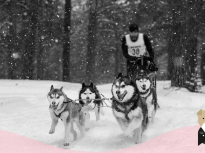 Qu'est-ce qu'un musher ?