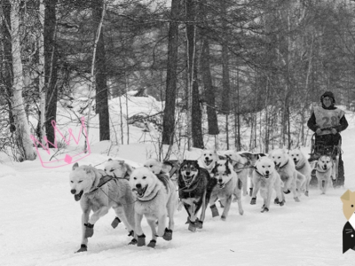 La Grande Odyssée, événement immanquable des mushers