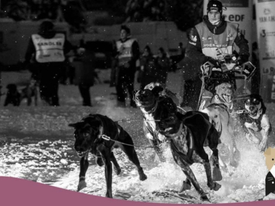 La préparation des chiens d'attelage et des champions Aurélie Delattre et Rémy C