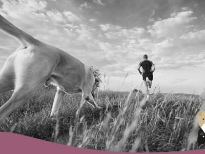 Quel sport pratiquer avec son chien ?
