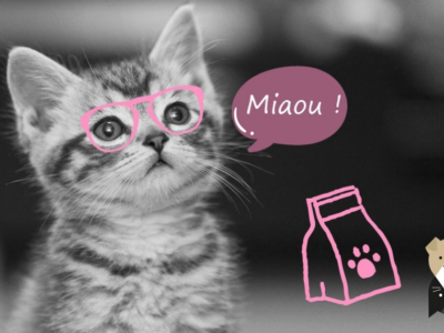 Quelle alimentation pour un chaton ?