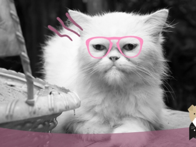 Que faire en cas de perte d'appétit chez le chat ?
