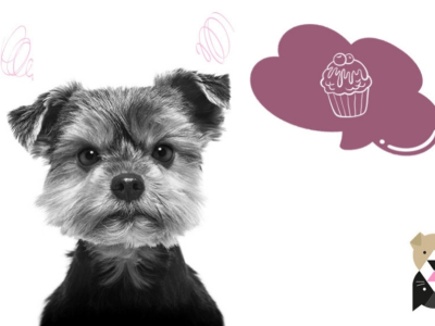 Quels aliments sont à éviter pour les chiens ?