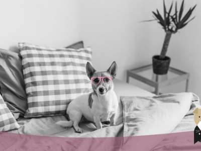 Pourquoi mon chien pète ?