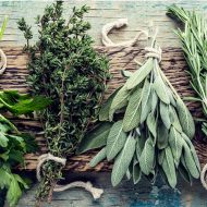 fresh herbs on wooden background with space for text