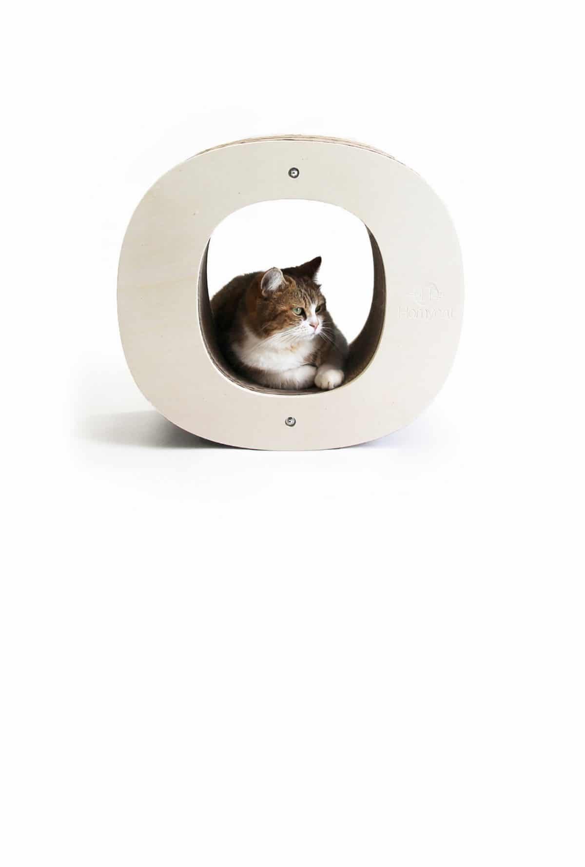 Griffoir chat recyclable lettre O Homycat