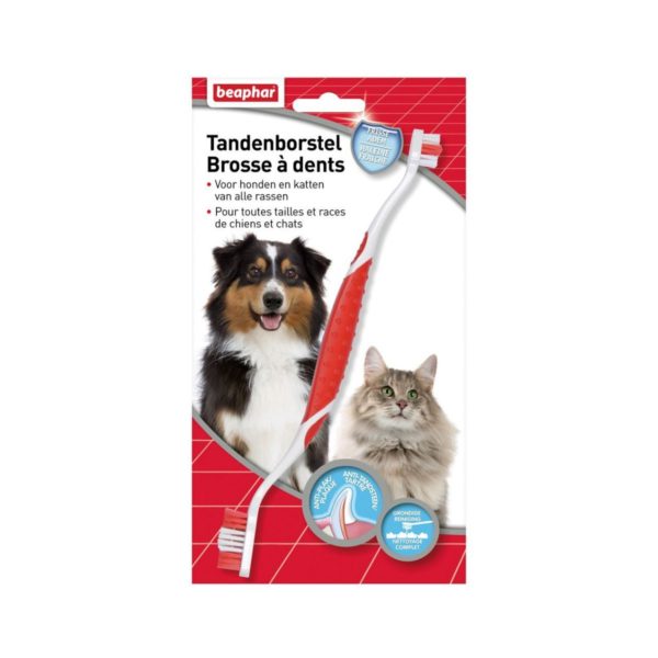Beaphar brosse à dents pour chiens et chats