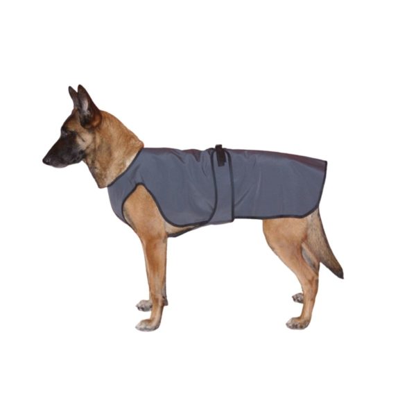 Manteau softshell pour chien